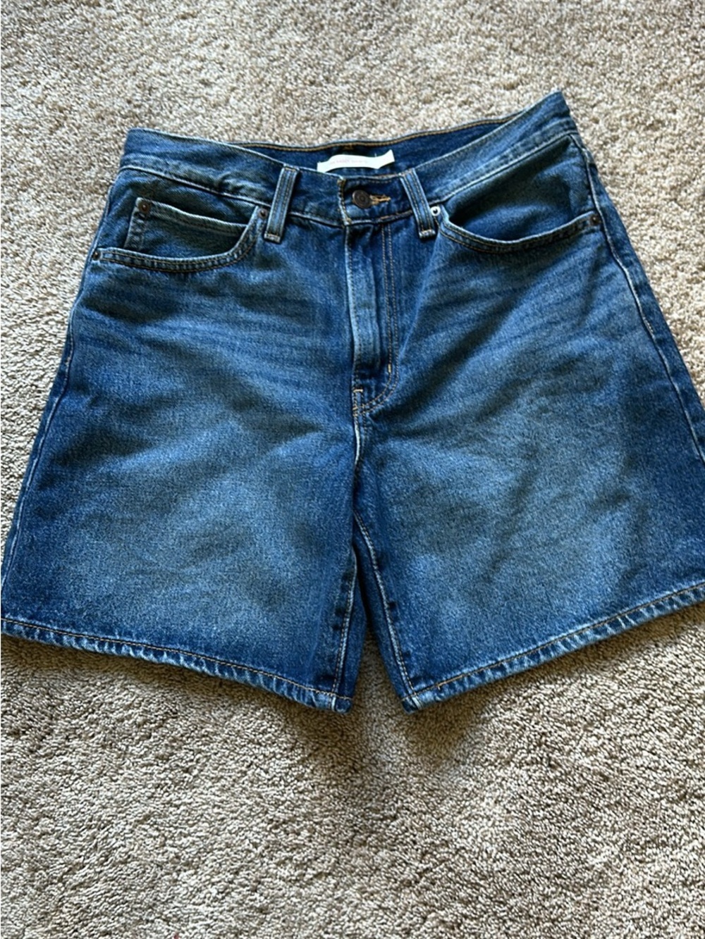 Levi’s ‘94 Baggy Shorts